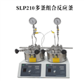 SLP系列两联平行高压反应釜